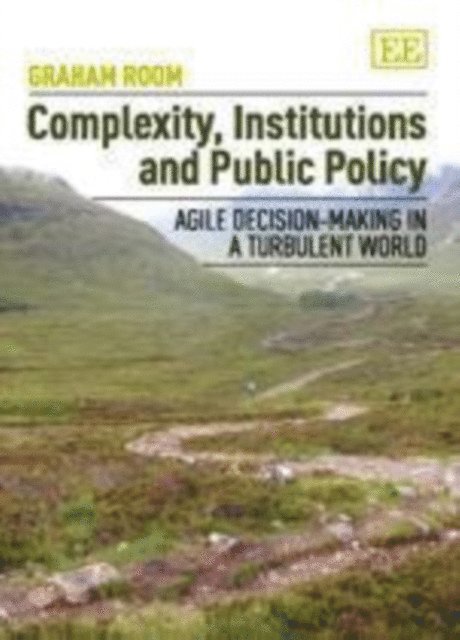 Graham Room - Complexity, Institutions and Public Policy, E-bok