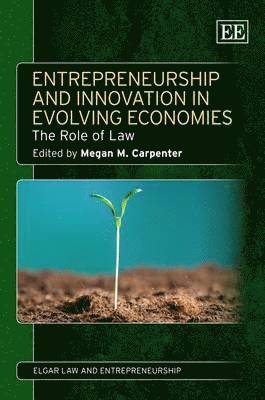 Megan M. Carpenter - Entrepreneurship and Innovation in Evolving Economies, Inbunden