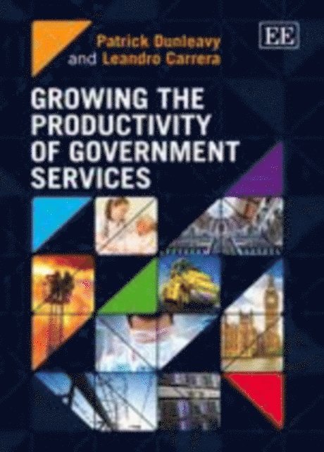 Leandro Carrera, Patrick Dunleavy - Growing the Productivity of Government Services, E-bok