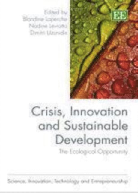 Dimitri Uzunidis, Nadine Levratto, Blandine Laperche - Crisis, Innovation and Sustainable Development, E-bok