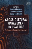 Cross-Cultural Management in Practice av Henriett Primecz, Laurence Romani, Sonja Sackmann