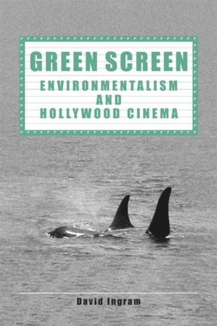 David Ingram - Green Screen, E-bok