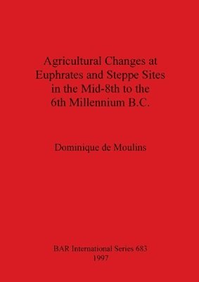 Dominique de Moulins - Agricultural Changes at Euphrates and Steppe Sites in the Mid-8th to the 6th Millennium B.C., Häftad