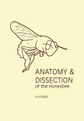 H.A. Dade - Anatomy & Dissection of the Honeybee, Häftad