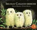 Iseanan Caillich-Oidhche