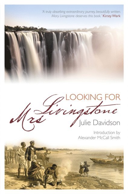 Julie Davidson - Looking for Mrs Livingstone, E-bok