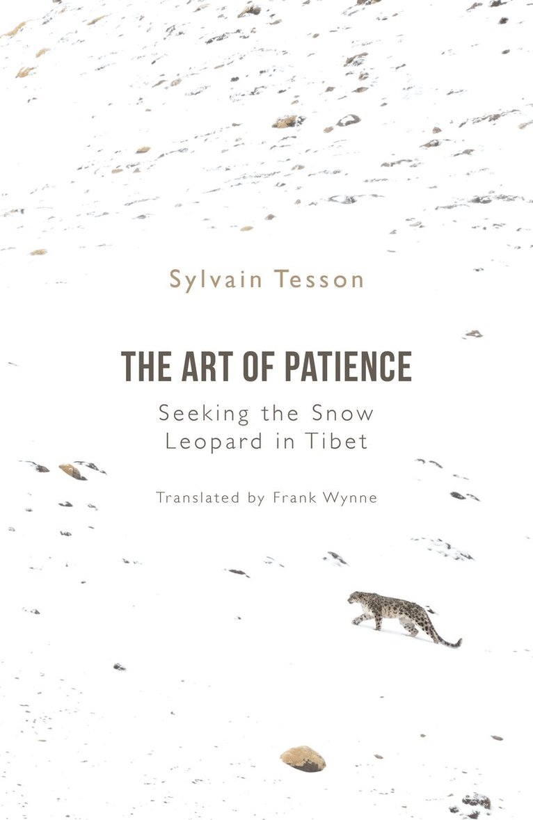 Sylvain Tesson - Art of Patience, E-bok
