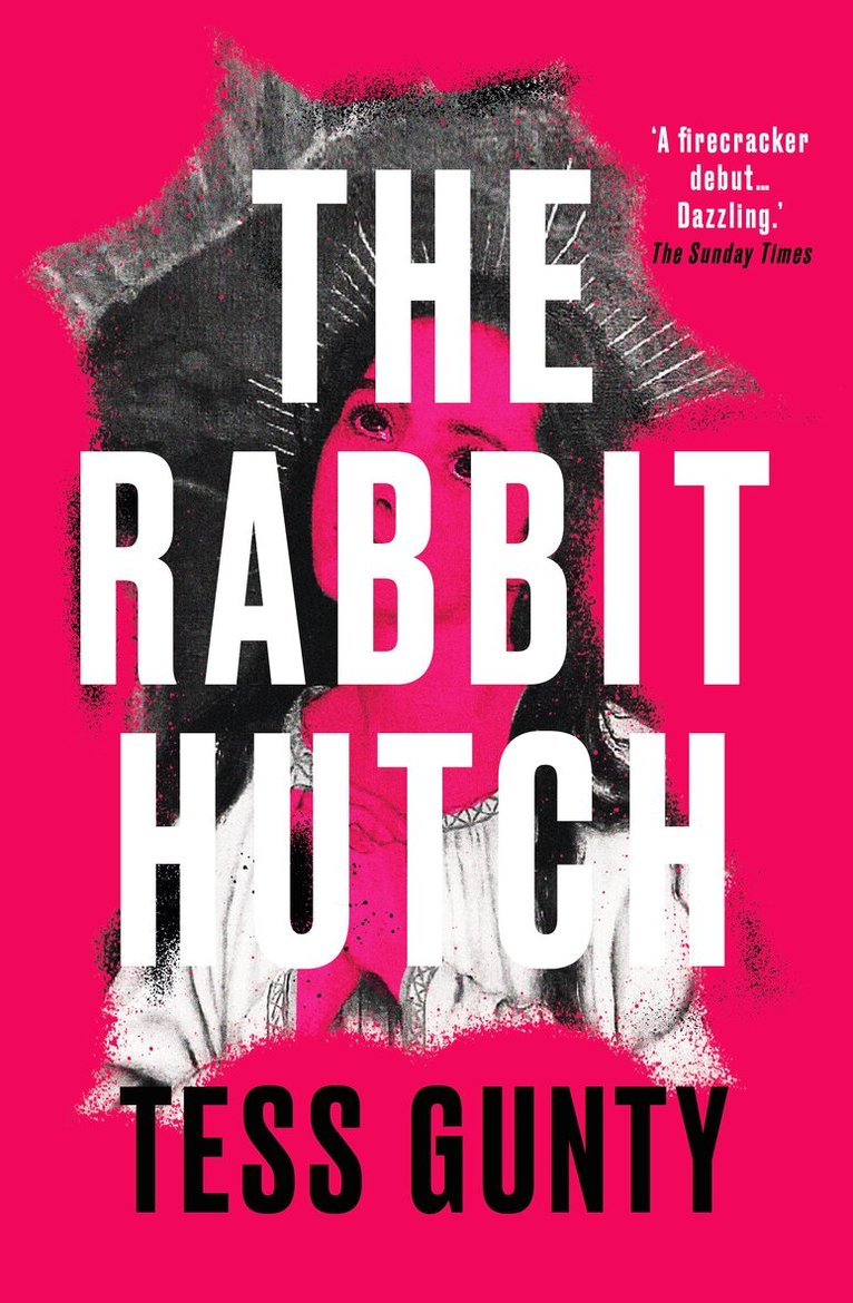 Tess Gunty - Rabbit Hutch, Inbunden