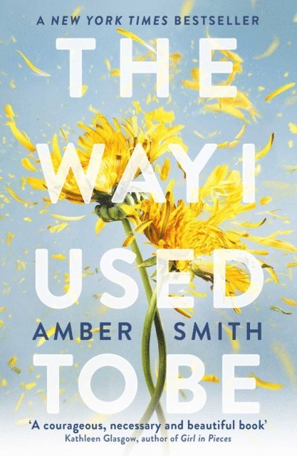 Amber Smith - Way I Used to Be, E-bok