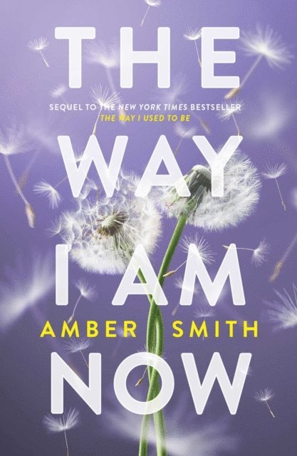 Amber Smith - Way I Am Now, E-bok