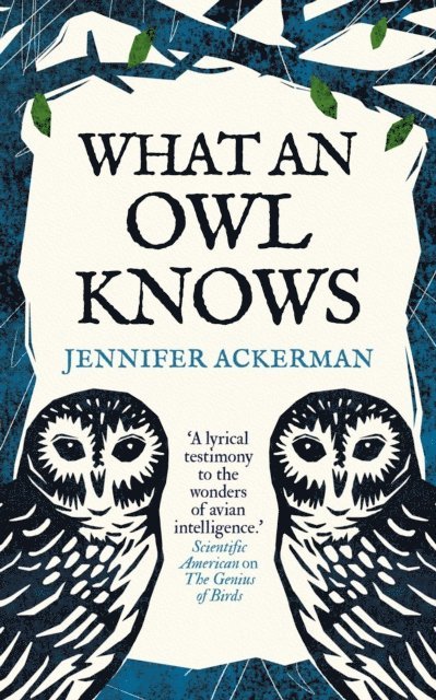 Jennifer Ackerman - What an Owl Knows, E-bok