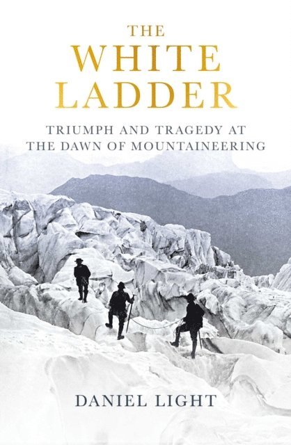 Daniel Light - White Ladder, E-bok