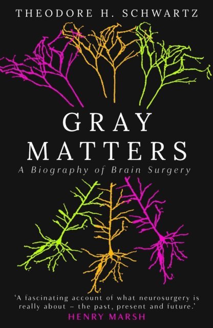 Theodore Schwartz - Gray Matters, E-bok