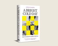 Bright Cold Day