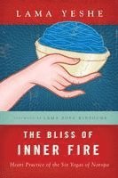 Thubten Yeshe, Robina Courtin, Ailsa Cameron - Bliss of Inner Fire, Häftad
