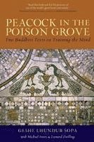 Geshe Lhundup Sopa, Michael Sweet, Leonard Zwilling - Peacock in the Poison Grove, Häftad. Tillgänglighet: Lägg i varukorg