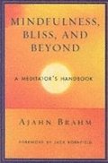 Mindfulness Bliss and Beyond