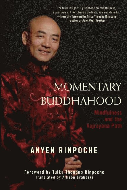 Anyen - Momentary Buddhahood, E-bok