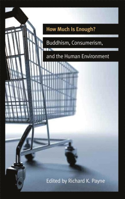 Richard K. Payne - How Much is Enough?, E-bok