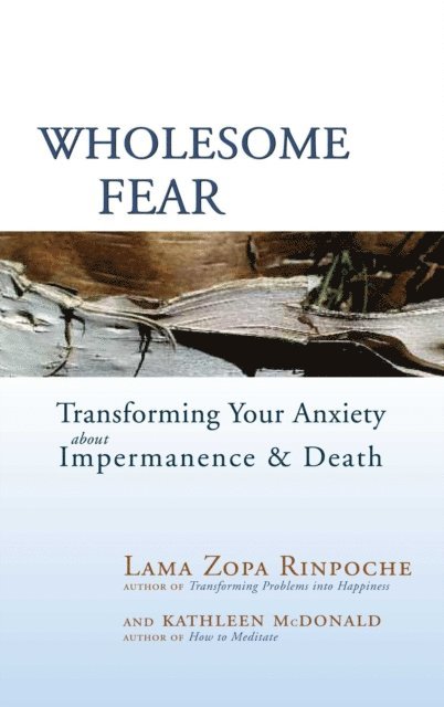 Kathleen McDonald, Thubten Zopa - Wholesome Fear, E-bok