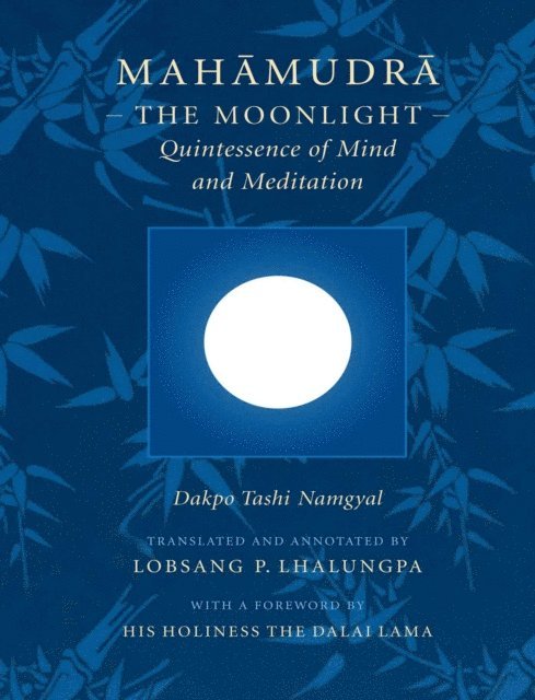 Dakpo Tashi Namgyal - Mahamudra, E-bok