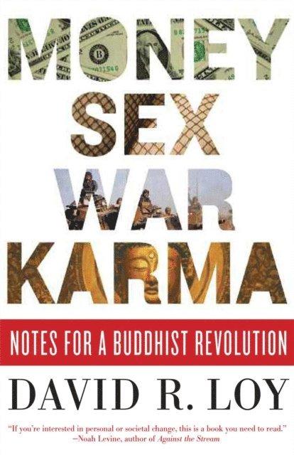 David R. Loy - Money, Sex, War, Karma, E-bok