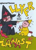 Cyfres Rwdlan: Llyfr Llanast