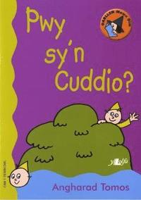 Cyfres Darllen Mewn Dim Cam Y Dewin Dwl Pwy Syn Cuddio - 