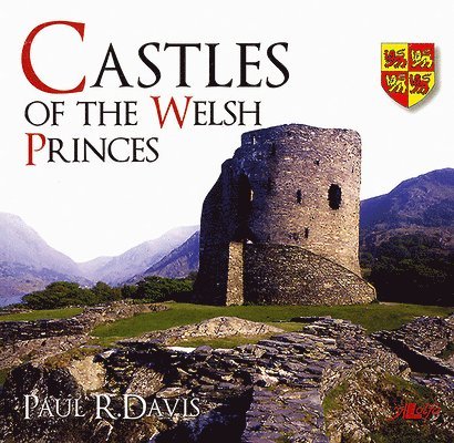 Paul R Davis - Castles of the Welsh Princes, Häftad