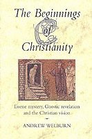 Andrew Welburn - Beginnings of Christianity, Häftad