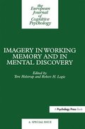 Imagery In Working Memory And Mental Discovery