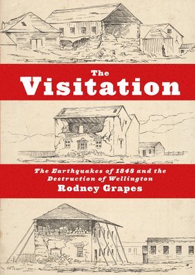 Rodney Grapes - Visitation, Häftad