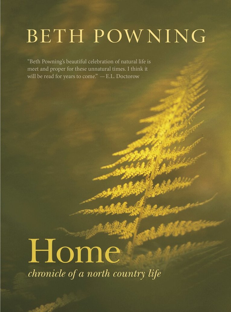 Beth Powning - Home, Inbunden. Tillgänglighet: Lägg i varukorg