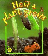 Bobbie Kalman - How A Plant Grows, Häftad