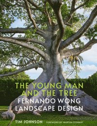 Young Man and the Tree