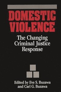 Domestic Violence