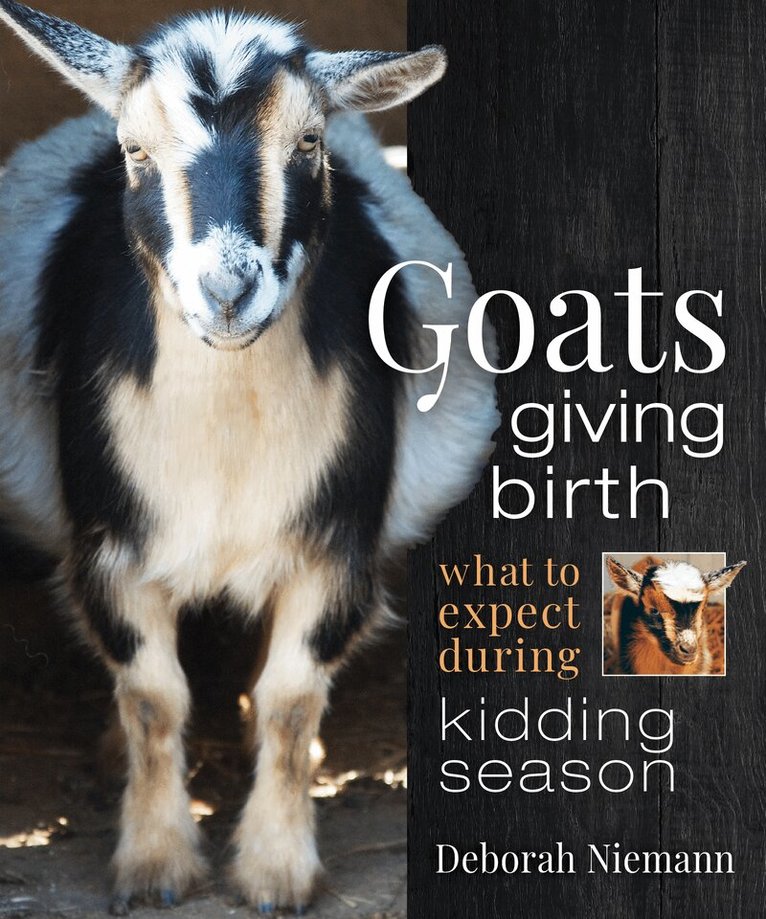Deborah Niemann - Goats Giving Birth, Häftad. Tillgänglighet: Tillfälligt slut