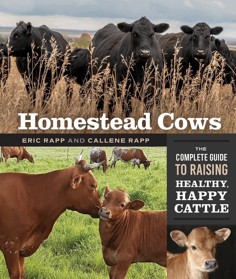 Callene Rapp, Eric Rapp - Homestead Cows, Häftad. Tillgänglighet: Lägg i varukorg