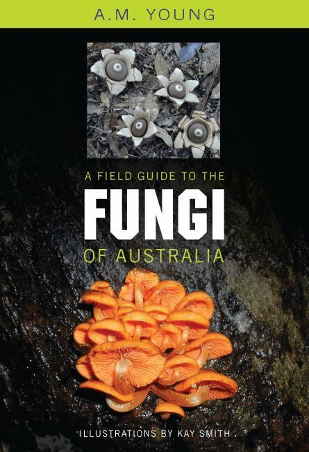 Tony Young, Kay Smith - Field Guide to the Fungi of Australia, Häftad