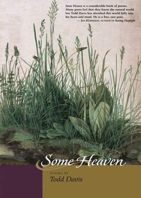Todd Davis - Some Heaven, Häftad. Tillgänglighet: Tillfälligt slut