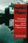Troubled Waters