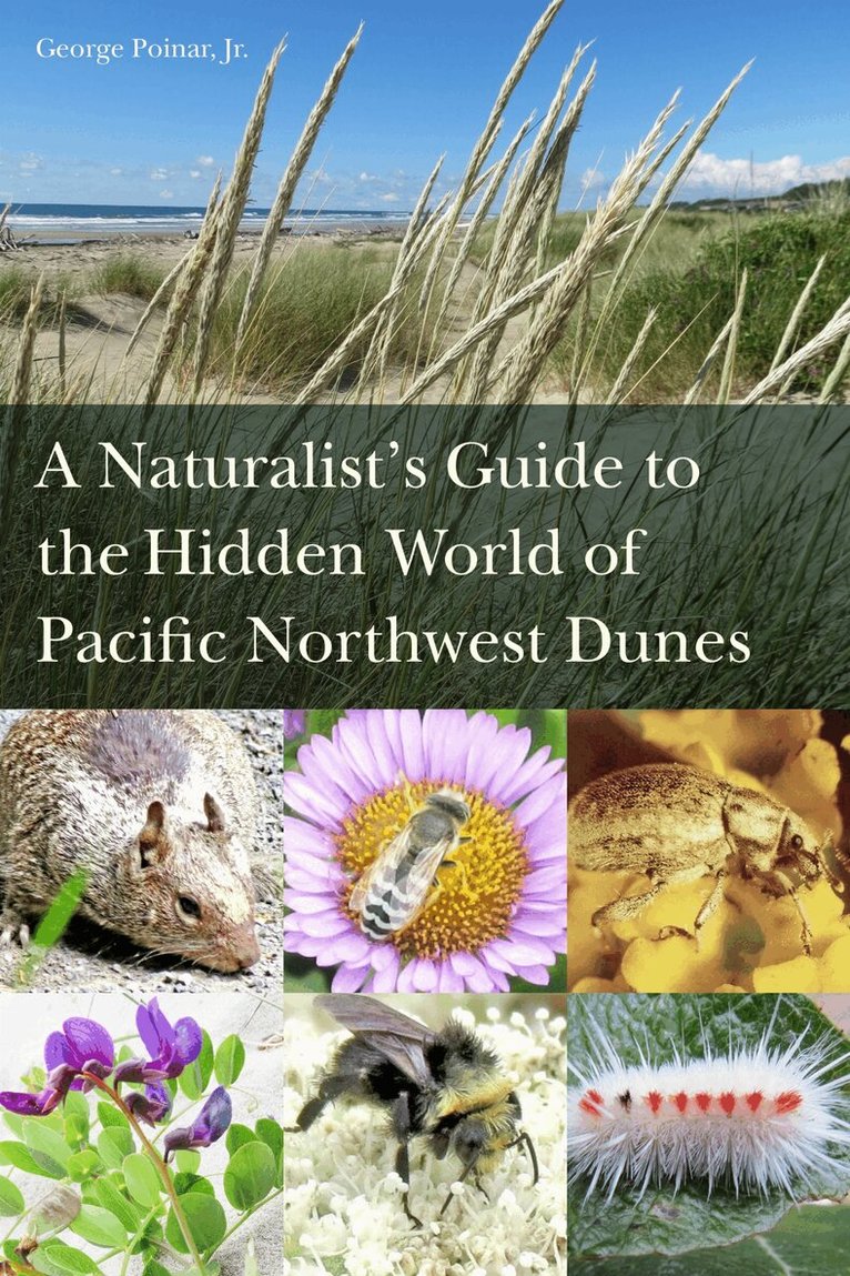 George Poinar Jr. - Naturalist’s Guide to the Hidden World of Pacific Northwest Dunes, Häftad. Tillgänglighet: Lägg i varukorg