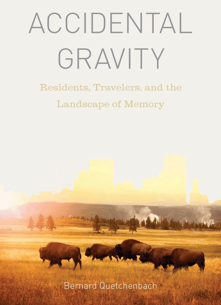 Bernard Quetchenbach - Accidental Gravity, Häftad. Tillgänglighet: Tillfälligt slut