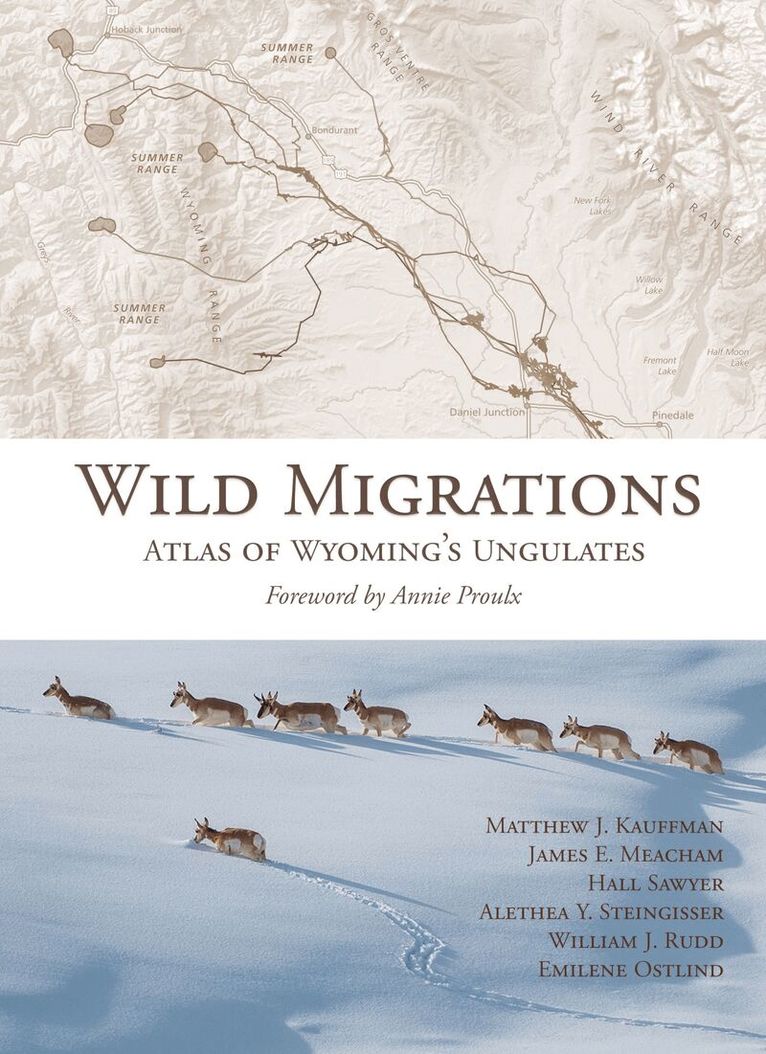 Matthew J. Kauffman, James E. Meacham, Hall Sawyer, Alethea Y. Steingisser, William J. Rudd, Emilene Ostlind - Wild Migrations, Inbunden