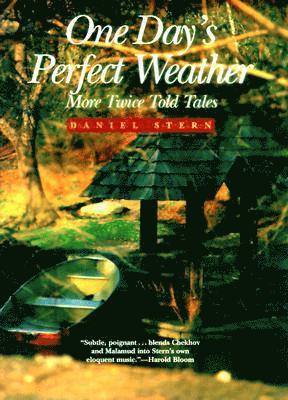 Daniel Stern - One Day's Perfect Weather, Inbunden