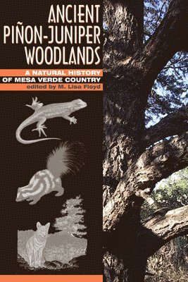 Lisa M. Floyd, David D. Hanna, William H. Romme, Marilyn Colyer - Ancient Piñon-Juniper Woodlands, Häftad