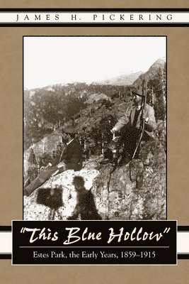 James H. Pickering - This Blue Hollow, Häftad