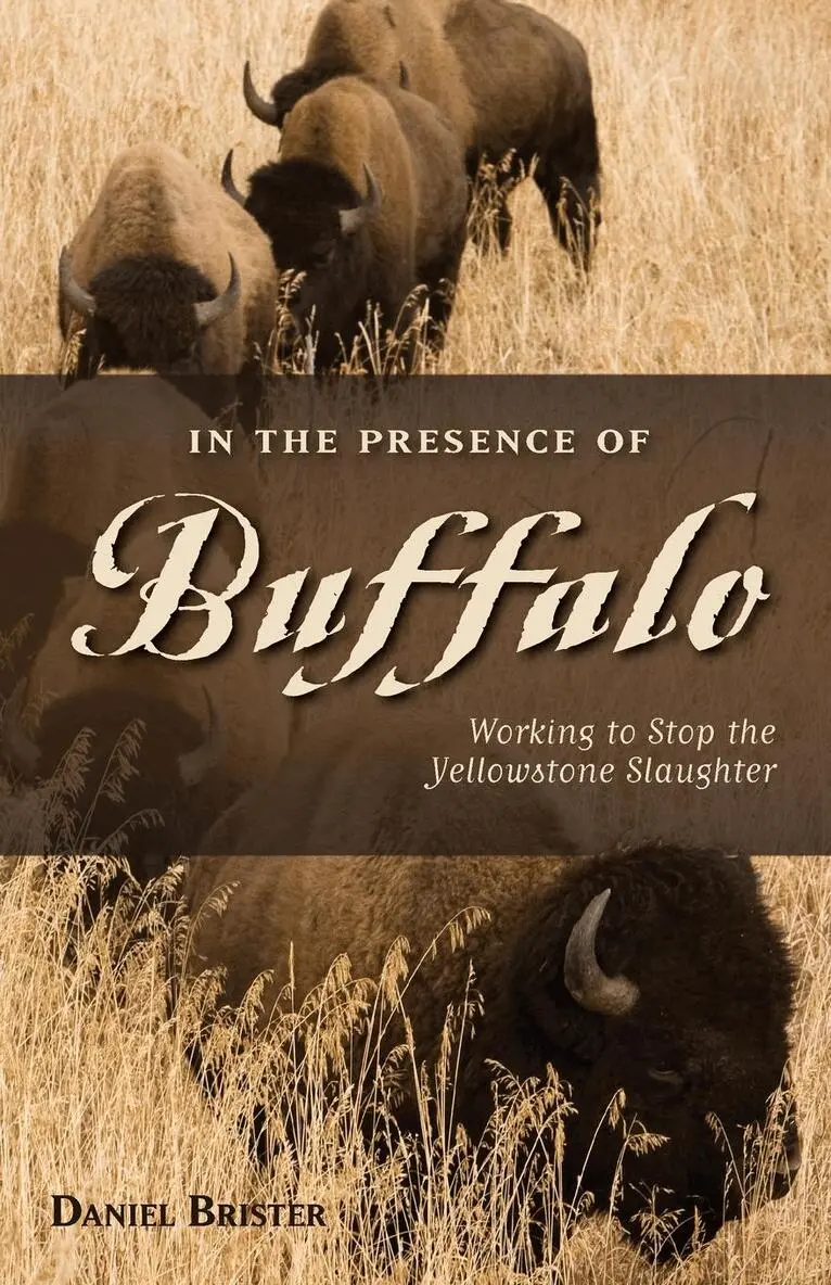 Daniel Brister - In the Presence of Buffalo, Häftad. Tillgänglighet: Lägg i varukorg