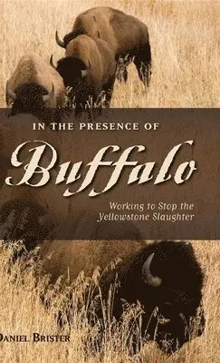 Daniel Brister - In the Presence of Buffalo, Inbunden. Tillgänglighet: Lägg i varukorg