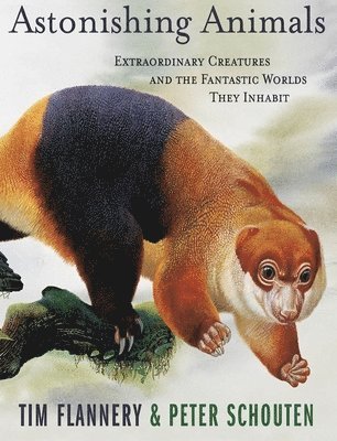 Tim Flannery - Astonishing Animals, Inbunden. Tillgänglighet: Tillfälligt slut